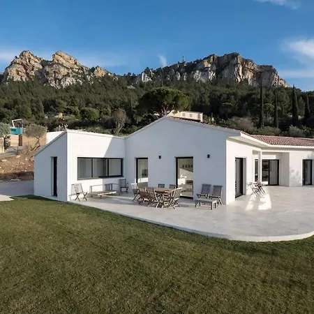 Mita