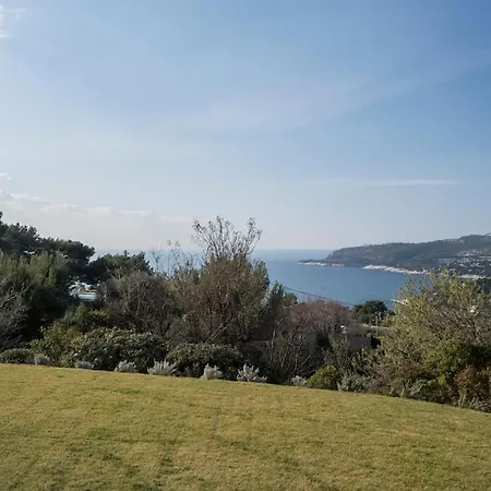 Mita * Cassis